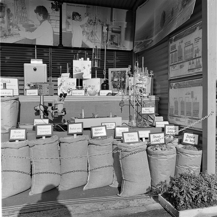 minerva_1984_c2_c7r5_013