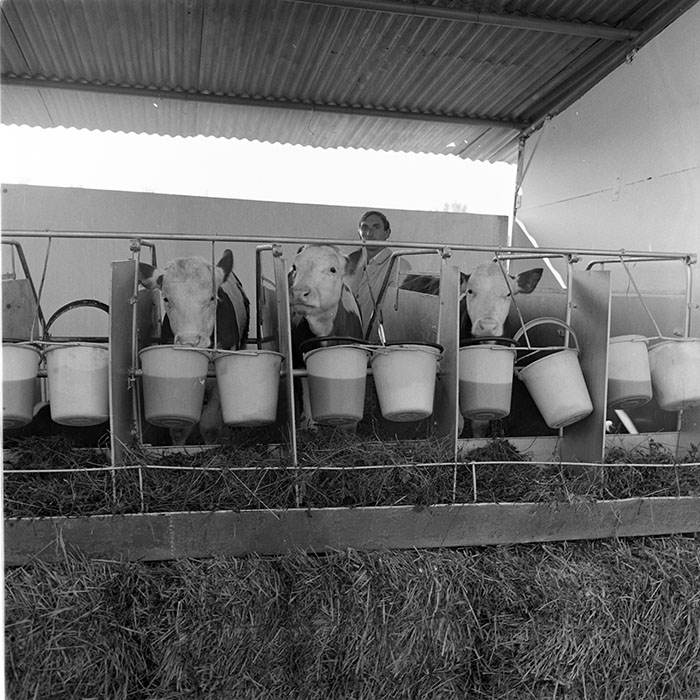 minerva_1984_c2_c7r5_014