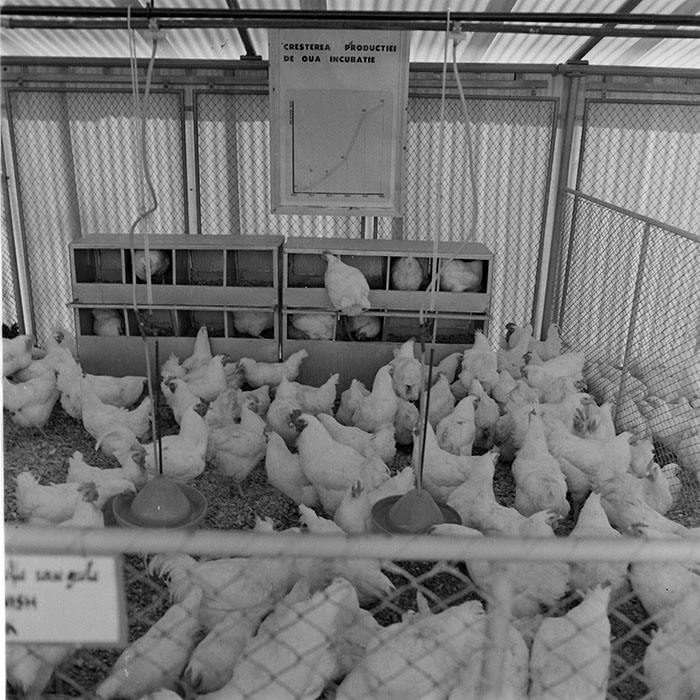 minerva_1984_c2_c7r5_015