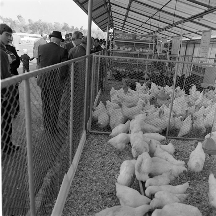 minerva_1984_c2_c7r5_016