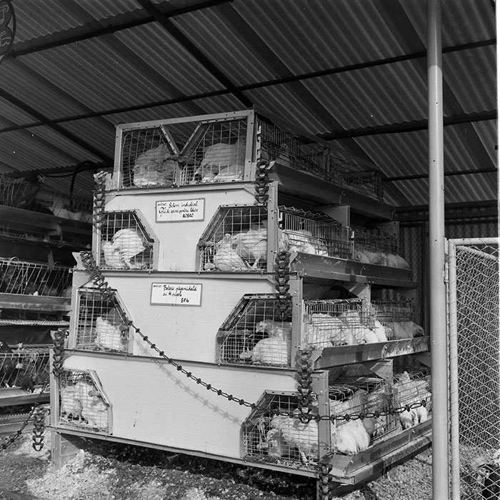 minerva_1984_c2_c7r5_019