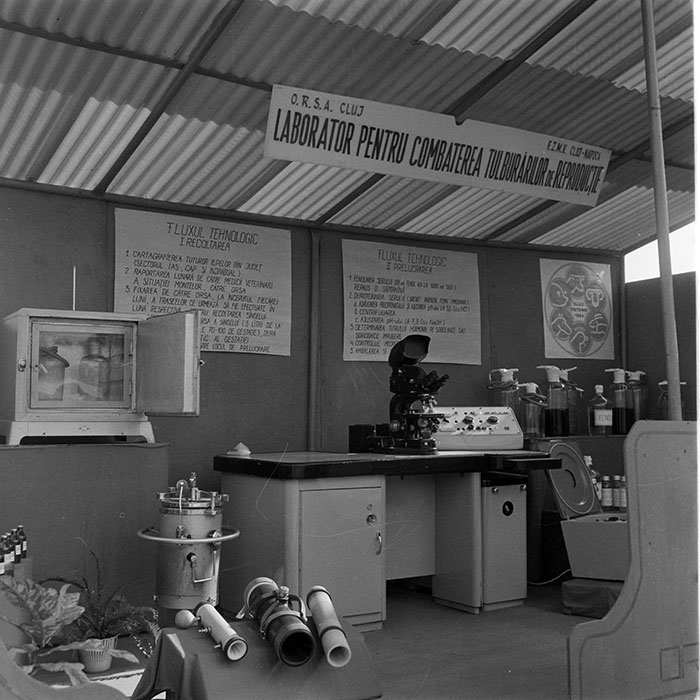 minerva_1984_c2_c7r5_023