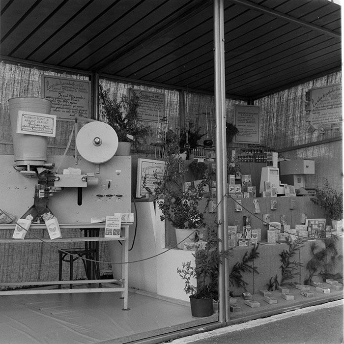 minerva_1984_c2_c7r5_025