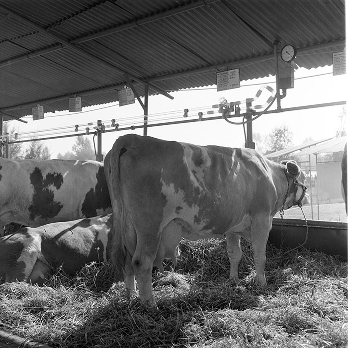 minerva_1984_c2_c7r5_046