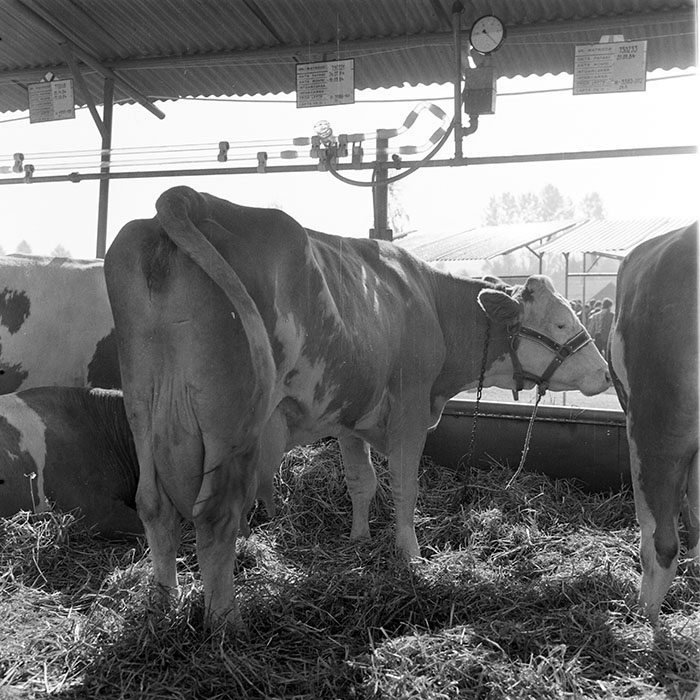 minerva_1984_c2_c7r5_047