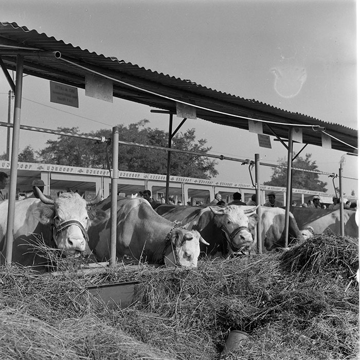 minerva_1984_c2_c7r5_051