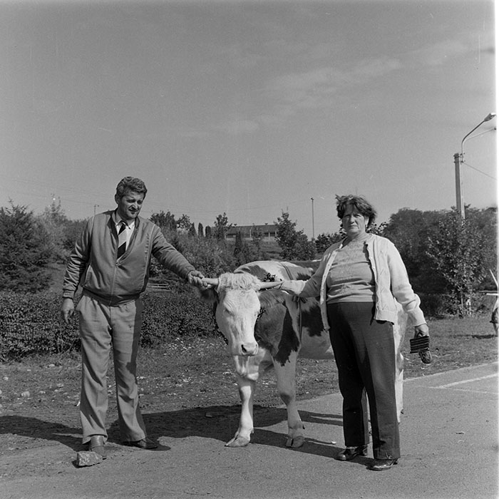 minerva_1984_c2_c7r5_052