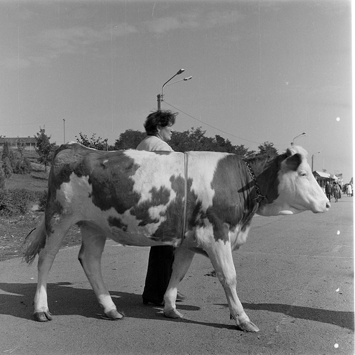 minerva_1984_c2_c7r5_054