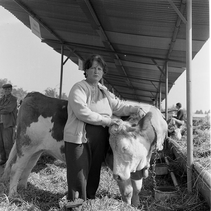 minerva_1984_c2_c7r5_055