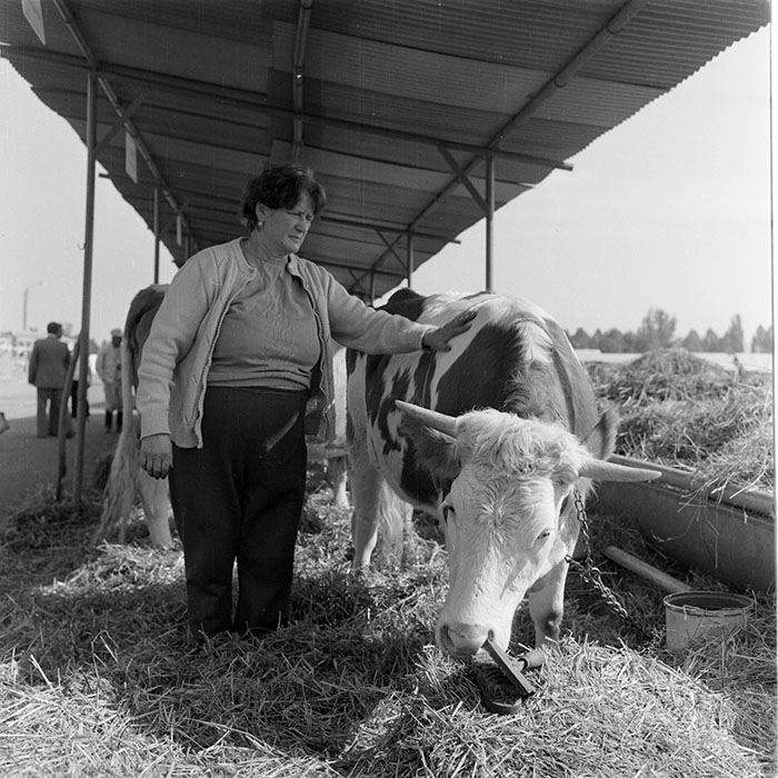 minerva_1984_c2_c7r5_056