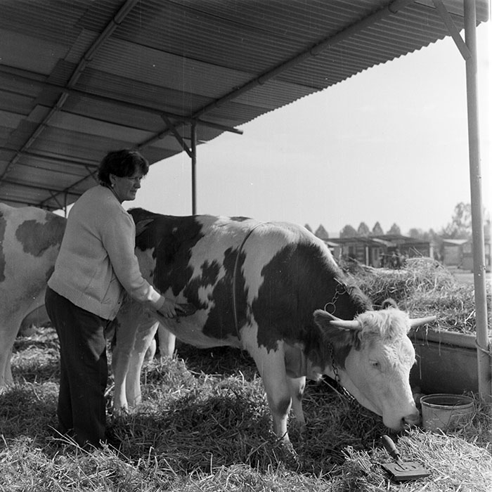 minerva_1984_c2_c7r5_057