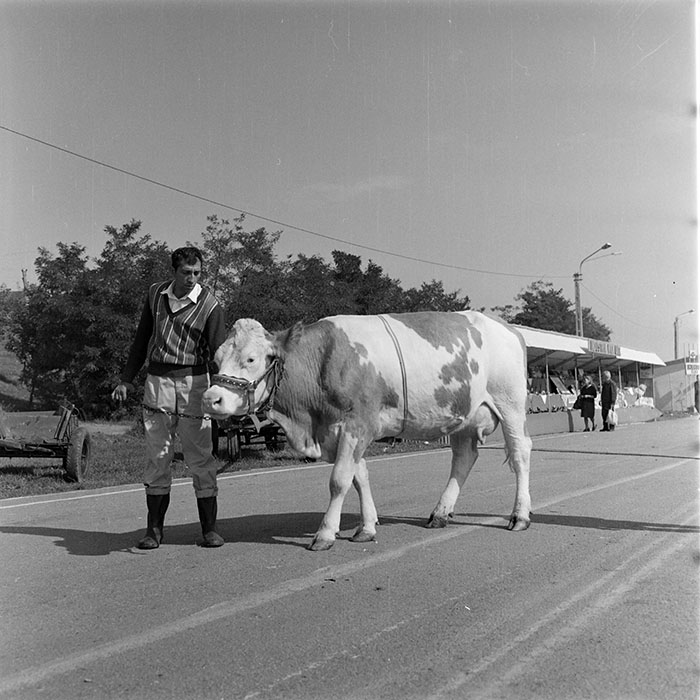 minerva_1984_c2_c7r5_058