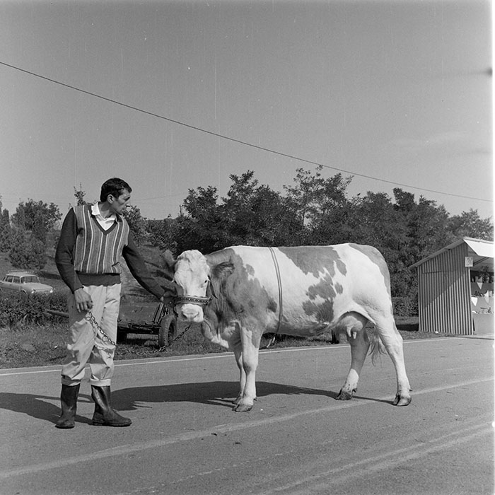 minerva_1984_c2_c7r5_059