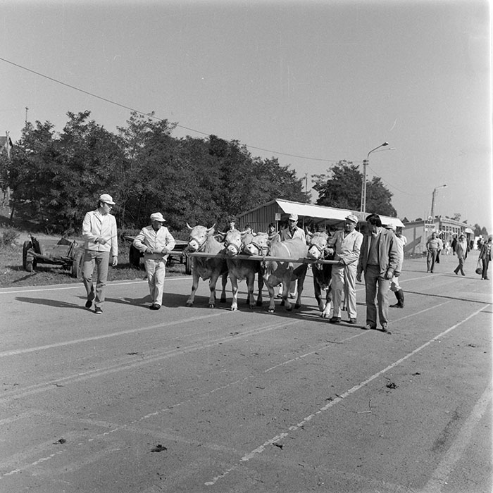 minerva_1984_c2_c7r5_062