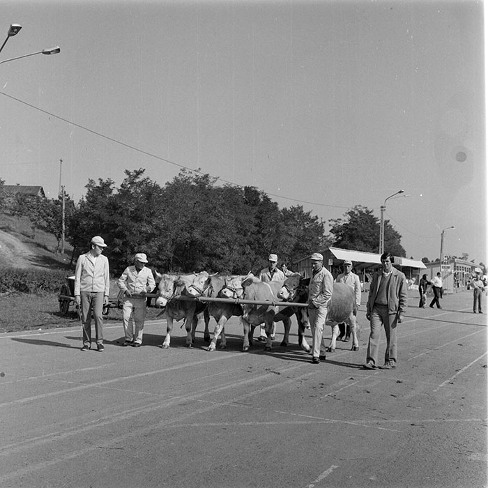 minerva_1984_c2_c7r5_063