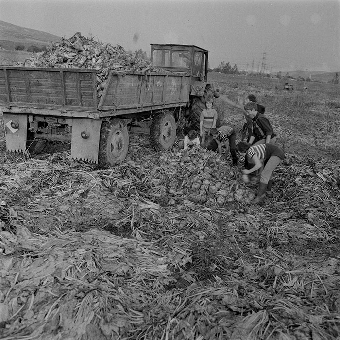 minerva_1984_c2_c8r1_004