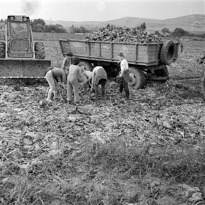 minerva_1984_c2_c8r1_006