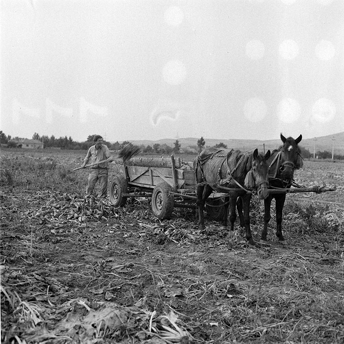 minerva_1984_c2_c8r1_009