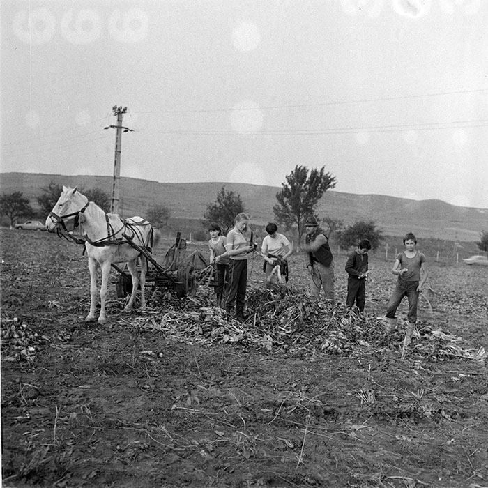 minerva_1984_c2_c8r1_010