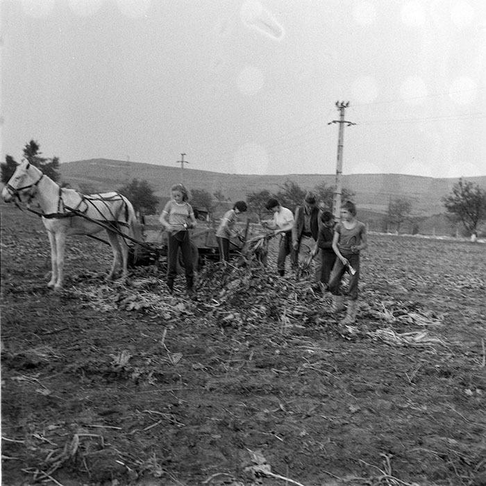 minerva_1984_c2_c8r1_012