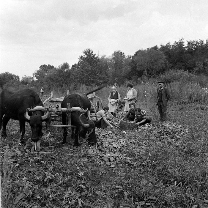 minerva_1984_c2_c8r1_014