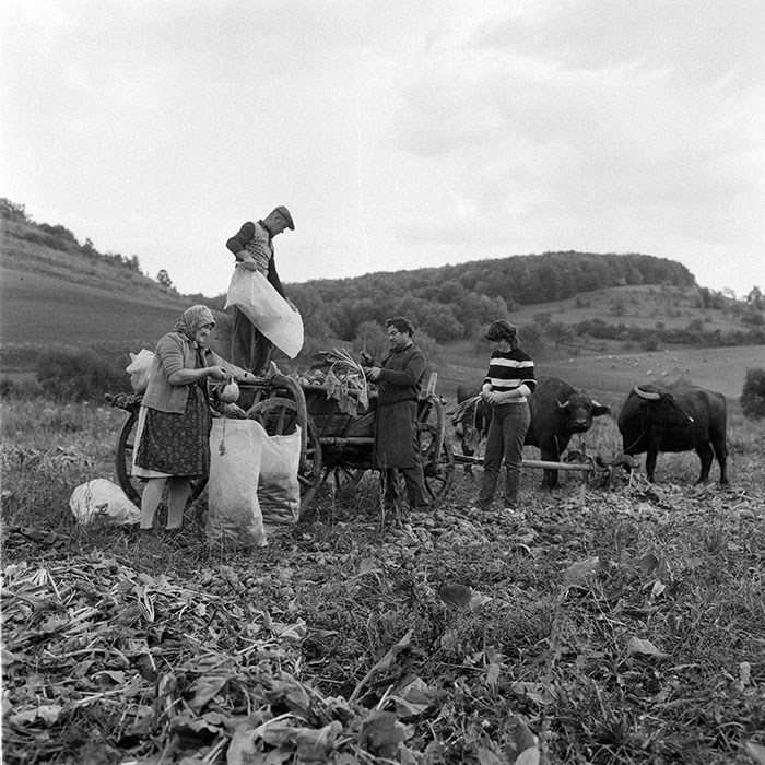 minerva_1984_c2_c8r1_022