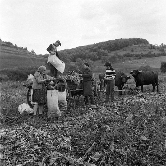 minerva_1984_c2_c8r1_023