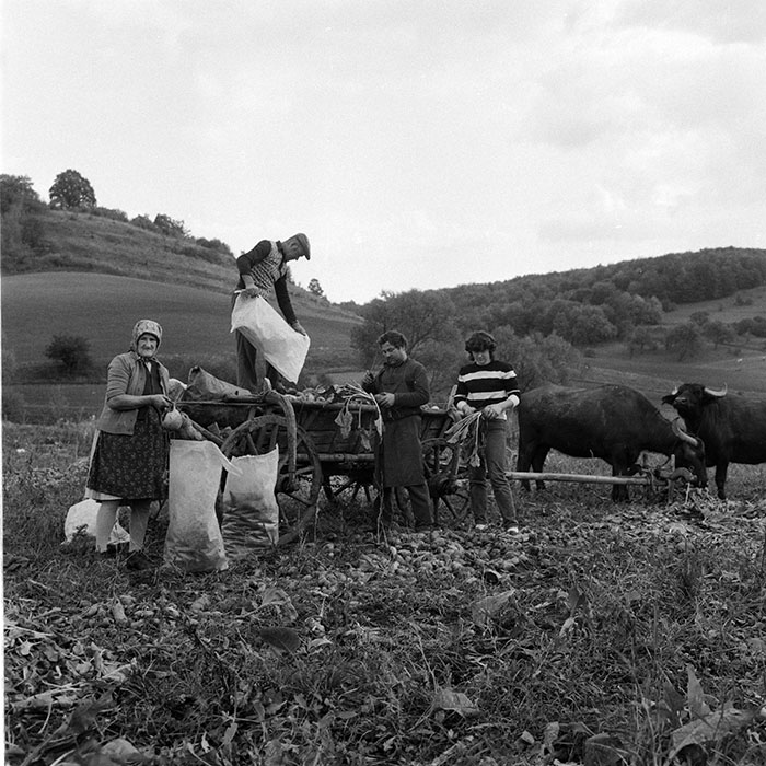 minerva_1984_c2_c8r1_024