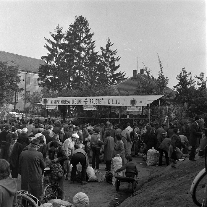 minerva_1984_c2_c8r2_002