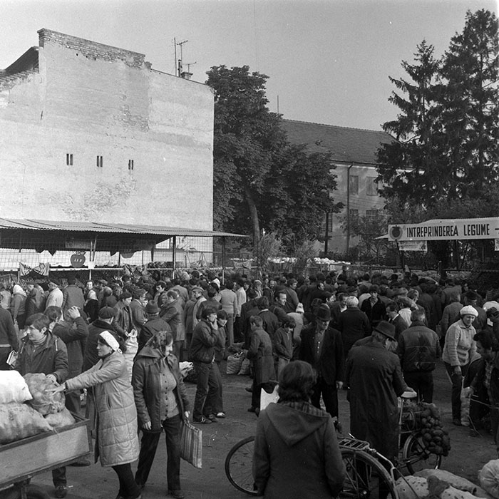 minerva_1984_c2_c8r2_003