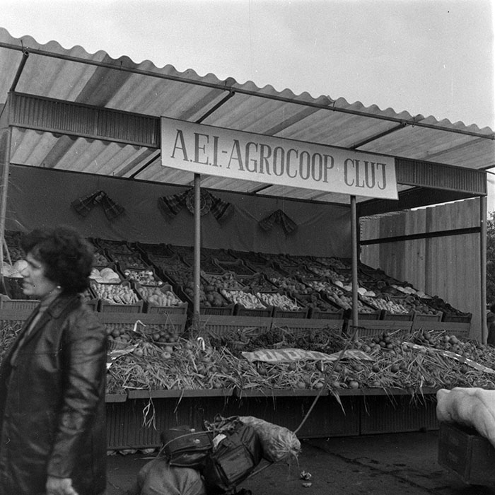 minerva_1984_c2_c8r2_004