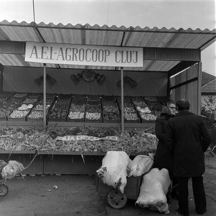 minerva_1984_c2_c8r2_005