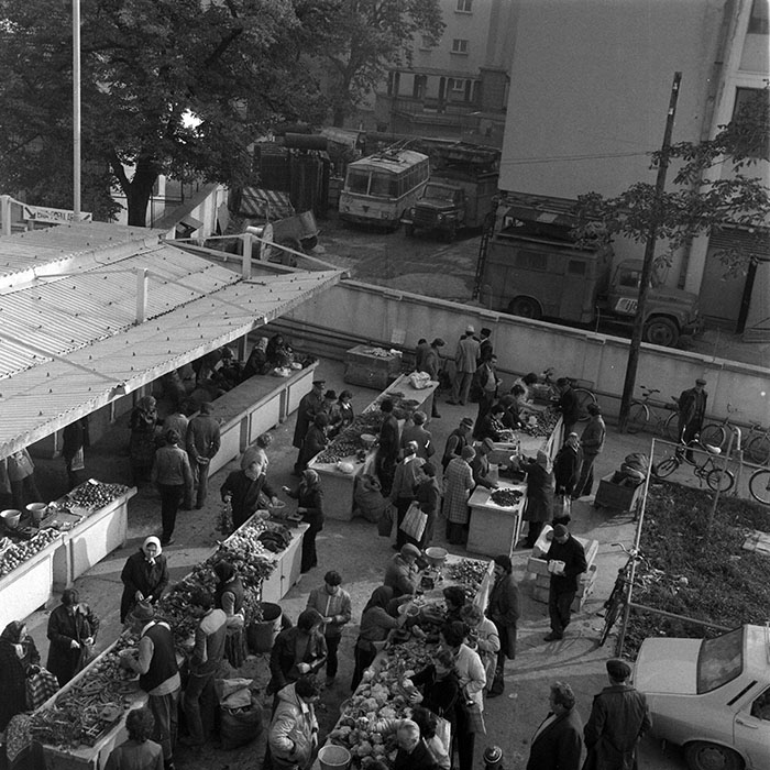 minerva_1984_c2_c8r2_006