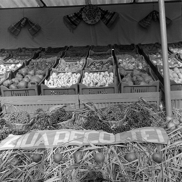 minerva_1984_c2_c8r2_008