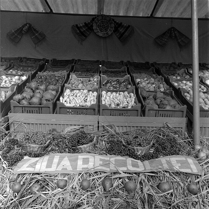 minerva_1984_c2_c8r2_009