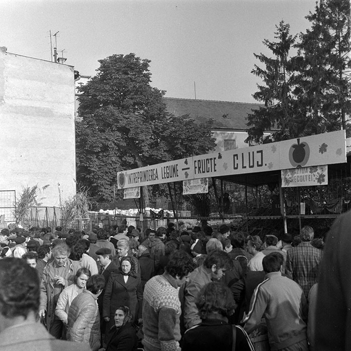 minerva_1984_c2_c8r2_010