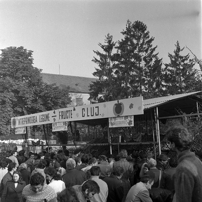 minerva_1984_c2_c8r2_011