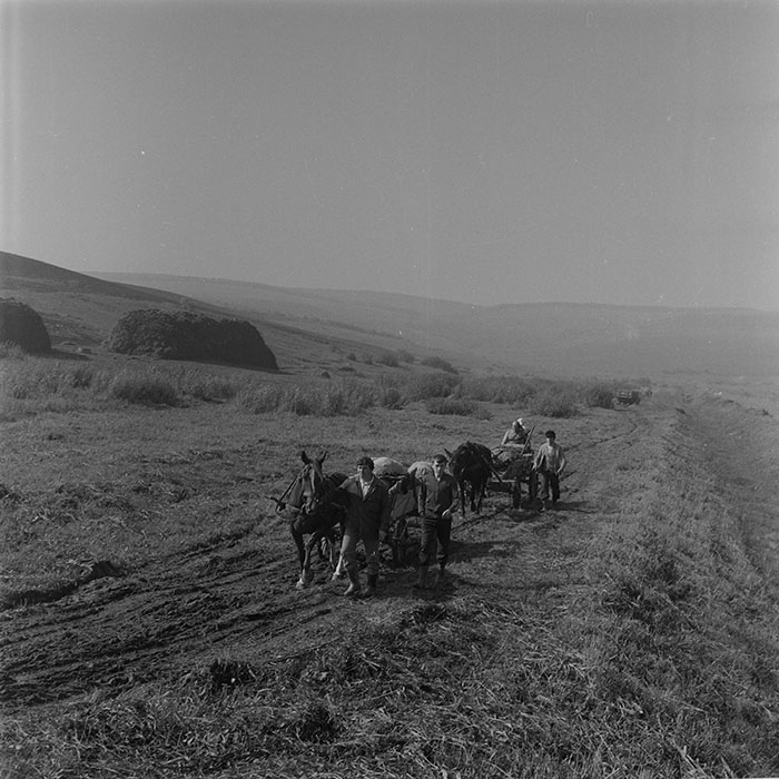 minerva_1984_c2_c8r4_001