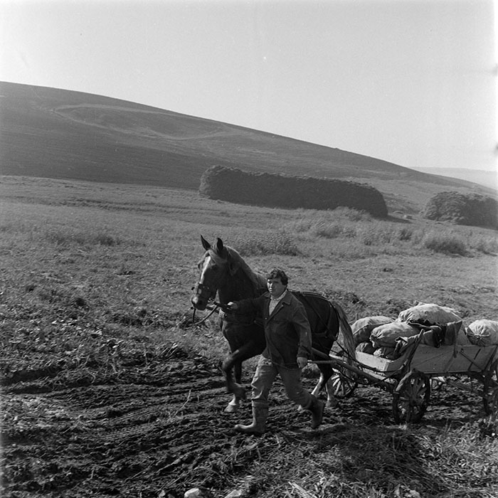 minerva_1984_c2_c8r4_002