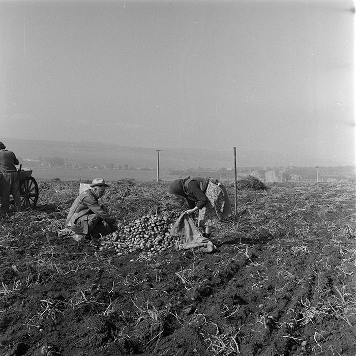 minerva_1984_c2_c8r4_003