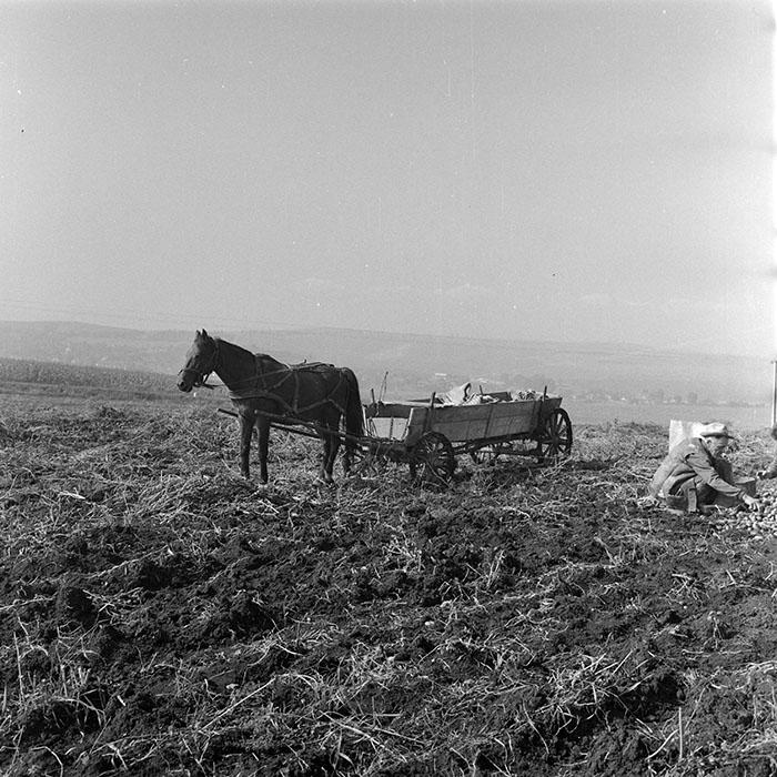 minerva_1984_c2_c8r4_007