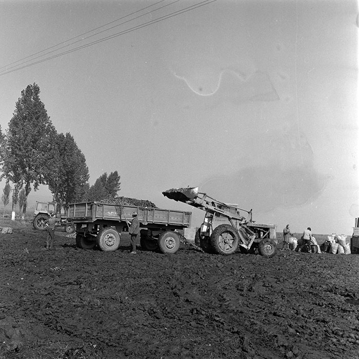 minerva_1984_c2_c8r4_011