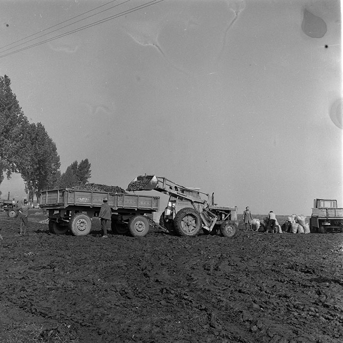 minerva_1984_c2_c8r4_012