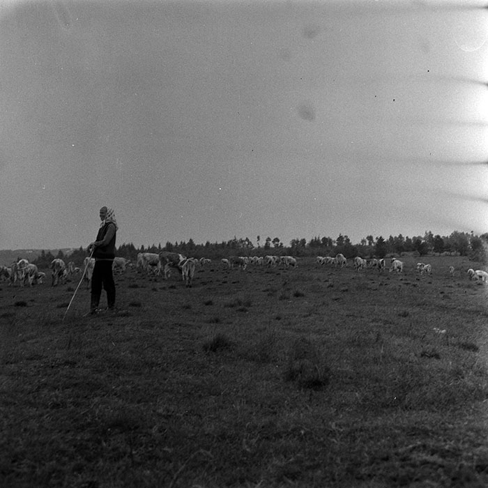 minerva_1985_c1_c10r4_003