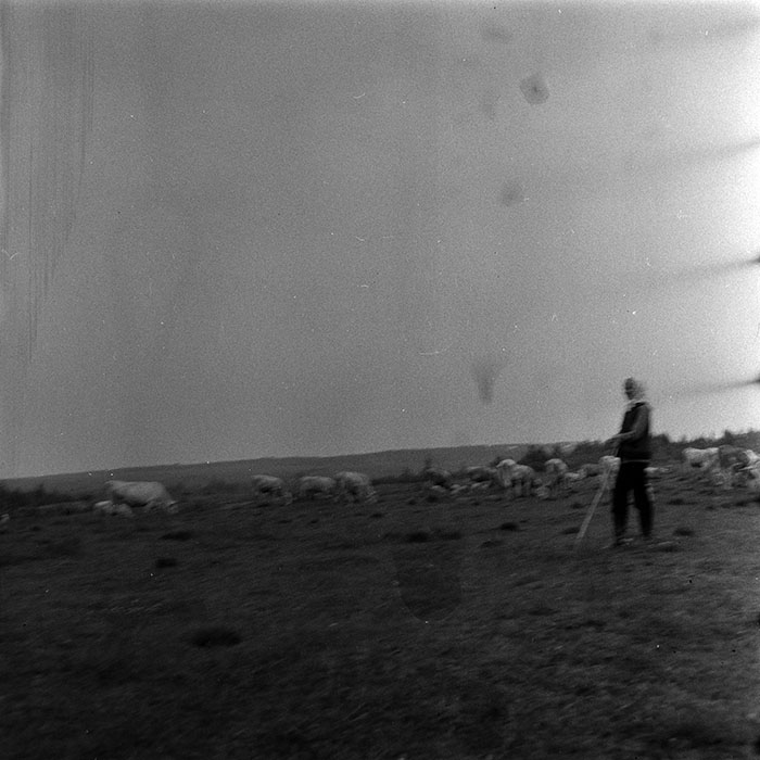 minerva_1985_c1_c10r4_004