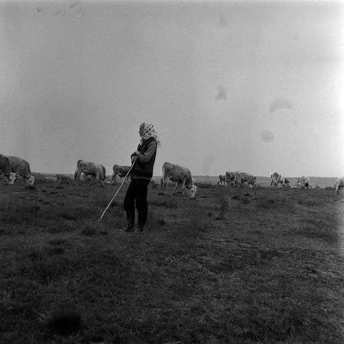 minerva_1985_c1_c10r4_005