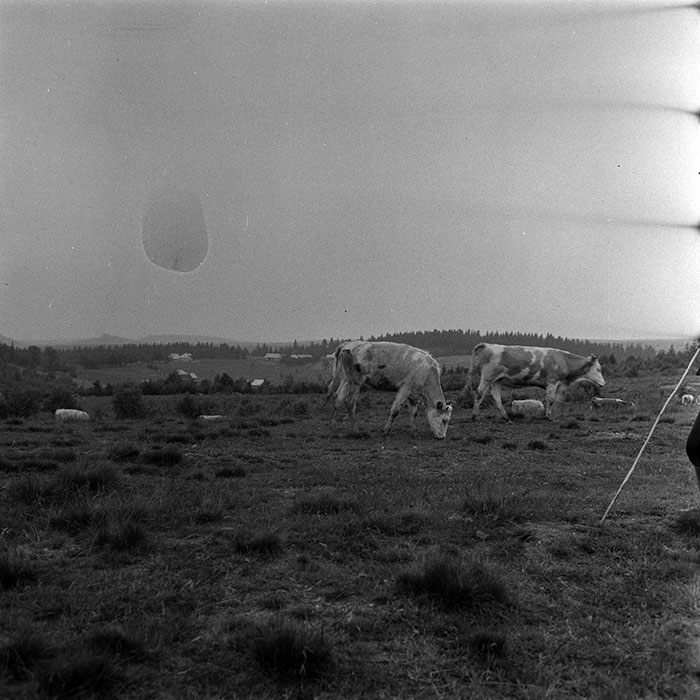 minerva_1985_c1_c10r4_007