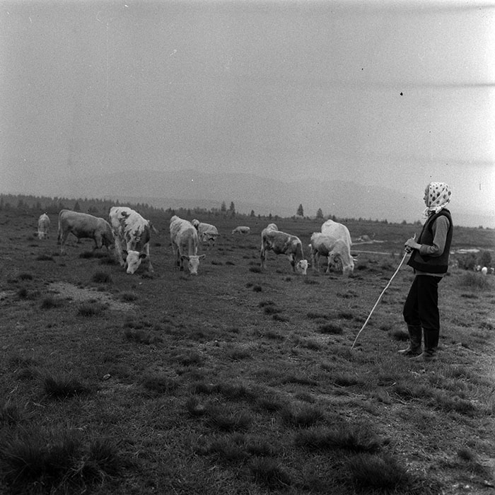 minerva_1985_c1_c10r4_008