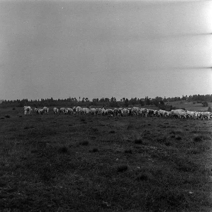 minerva_1985_c1_c10r4_009