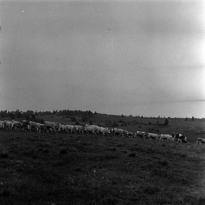 minerva_1985_c1_c10r4_010